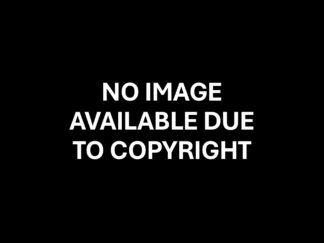 White text on black background reads: No image available due to copyright